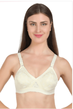 PARIS BEAUTY - SPARSH BRA - ADEL